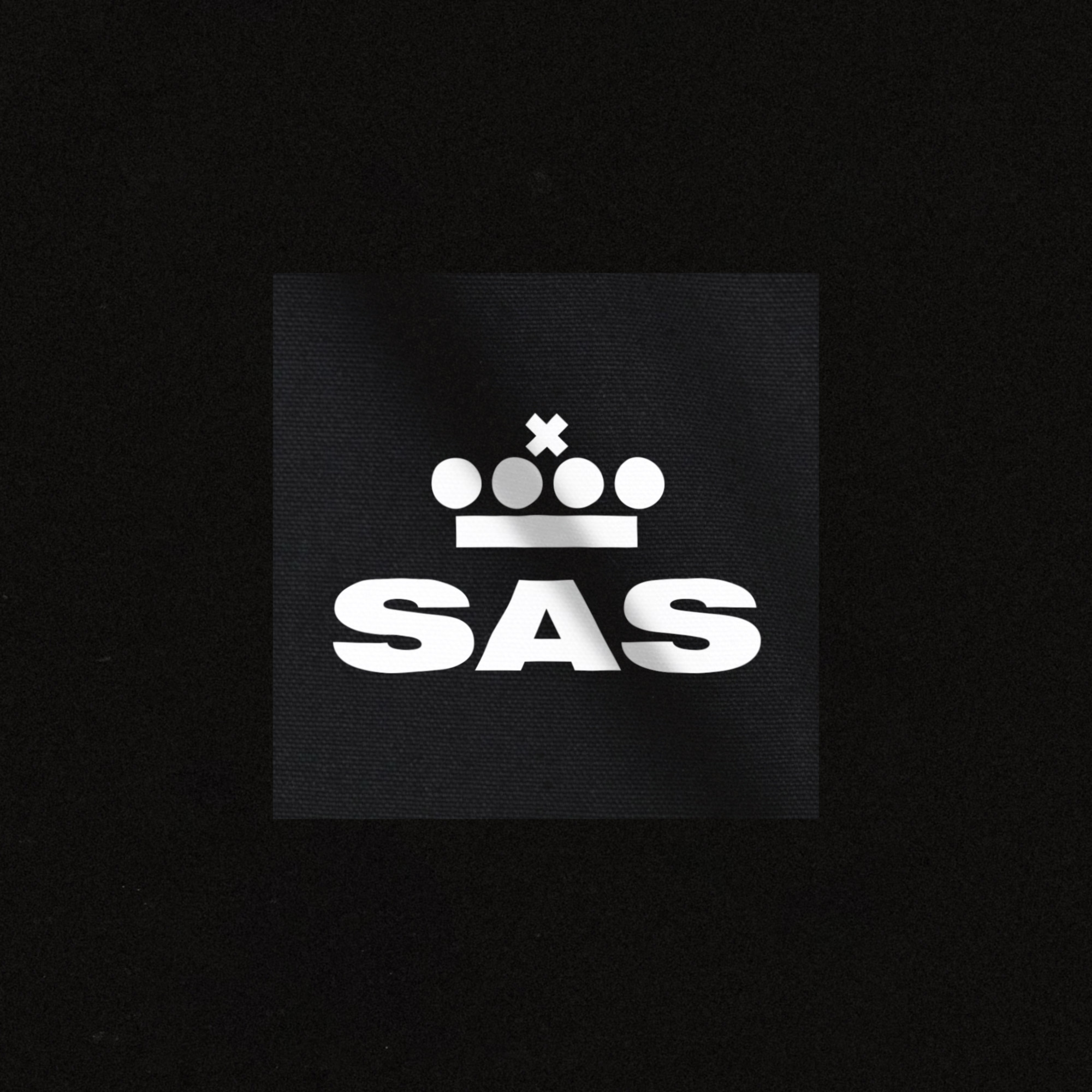 Visual-App.SAS2